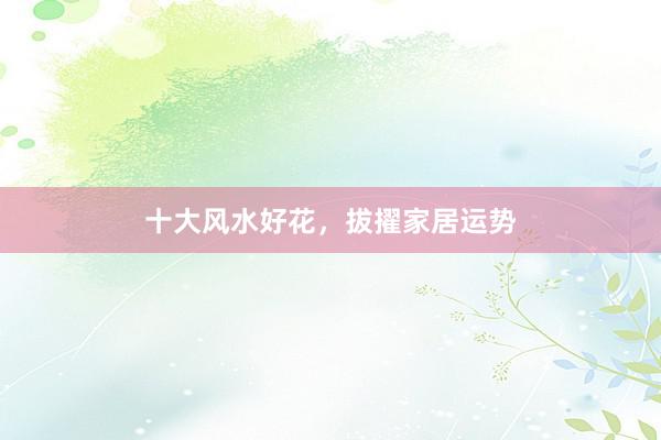 十大风水好花，拔擢家居运势