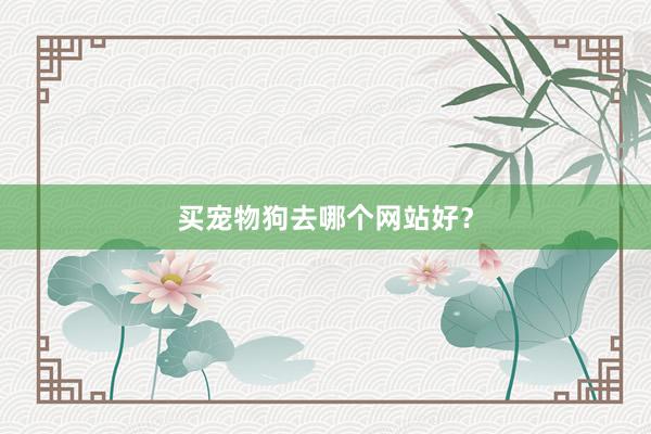 买宠物狗去哪个网站好？