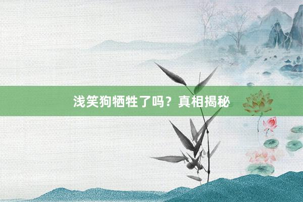 浅笑狗牺牲了吗？真相揭秘